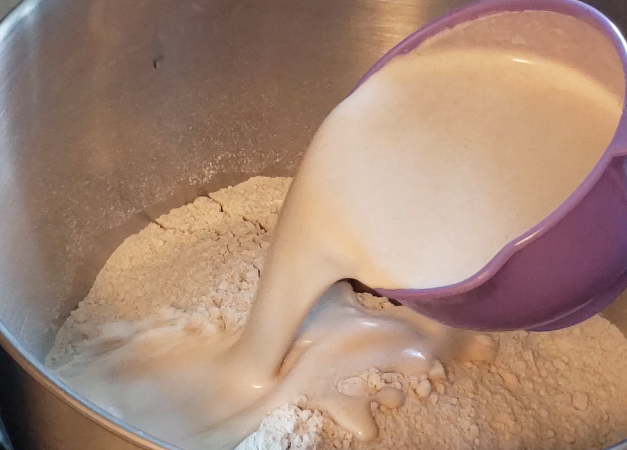 Teff enjera dough starter